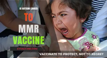 Exploring the Autism-MMR Vaccine Connection: Facts and Myths