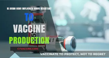 Avian H5N1 Influenza: Vaccine Production Challenges and Resistance Concerns