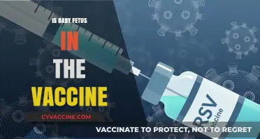 Exploring the Facts: Is Baby Fetus in the Vaccine?