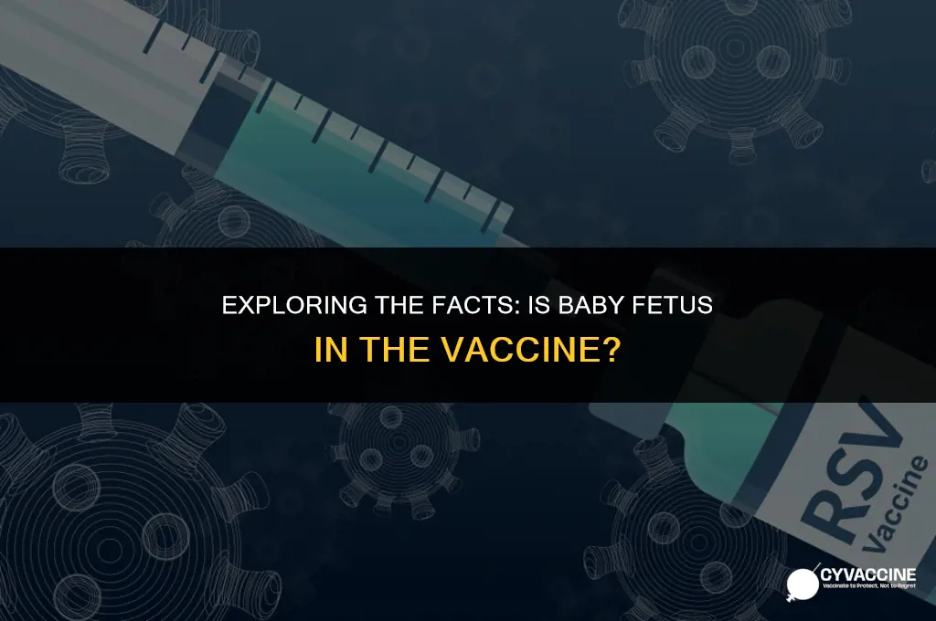is baby fetus in the vaccine