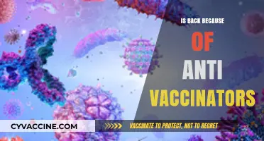Resurgence of Disease: The Unintended Consequence of Anti-Vaccination Movements
