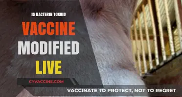 Understanding Bacterin Toxoid Vaccines: Are They Modified Live?