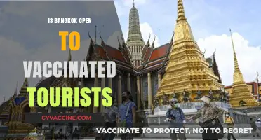 Exploring Bangkok: A Guide for Vaccinated Tourists