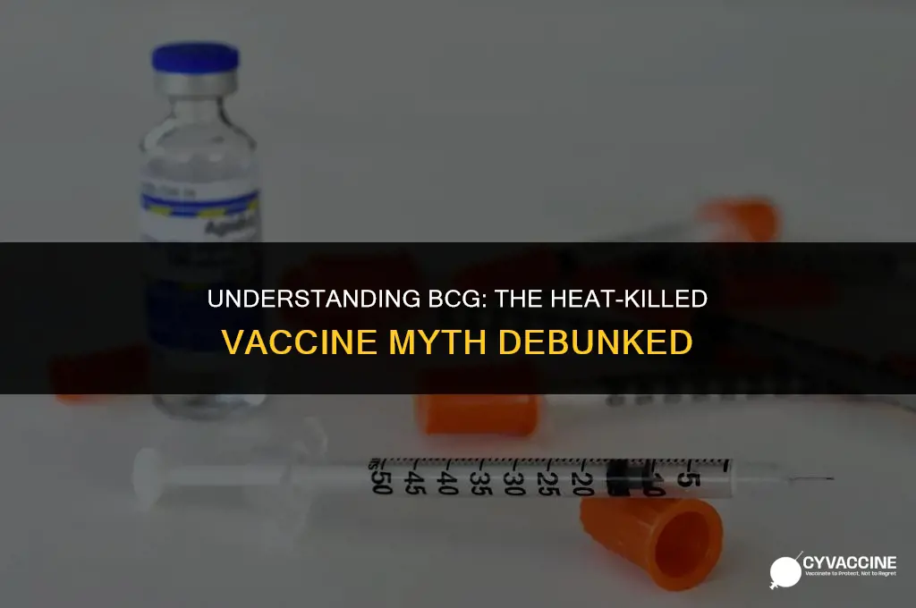 is bcg a heat killed vaccine
