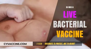 Understanding BCG: The Live Bacterial Vaccine for Tuberculosis Prevention