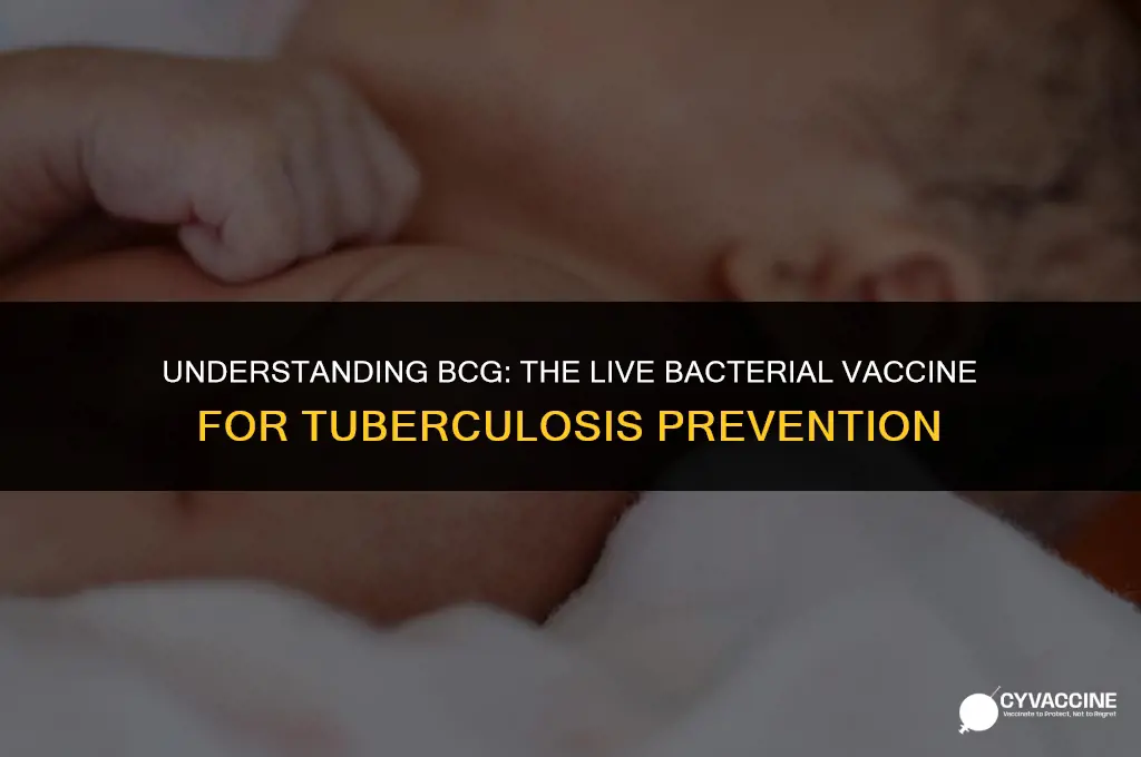 is bcg a live bacterial vaccine