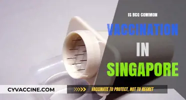 BCG Vaccination in Singapore: Common Practice or Not?