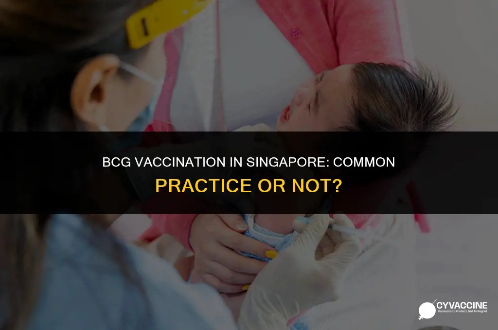 is bcg common vaccination in singapore