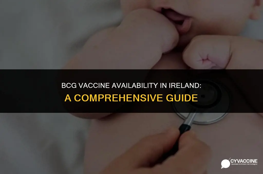 is bcg vaccine available in ireland
