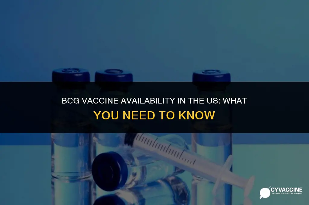 is bcg vaccine available in us