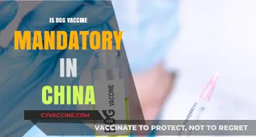 BCG Vaccine in China: Understanding the Mandatory Requirements