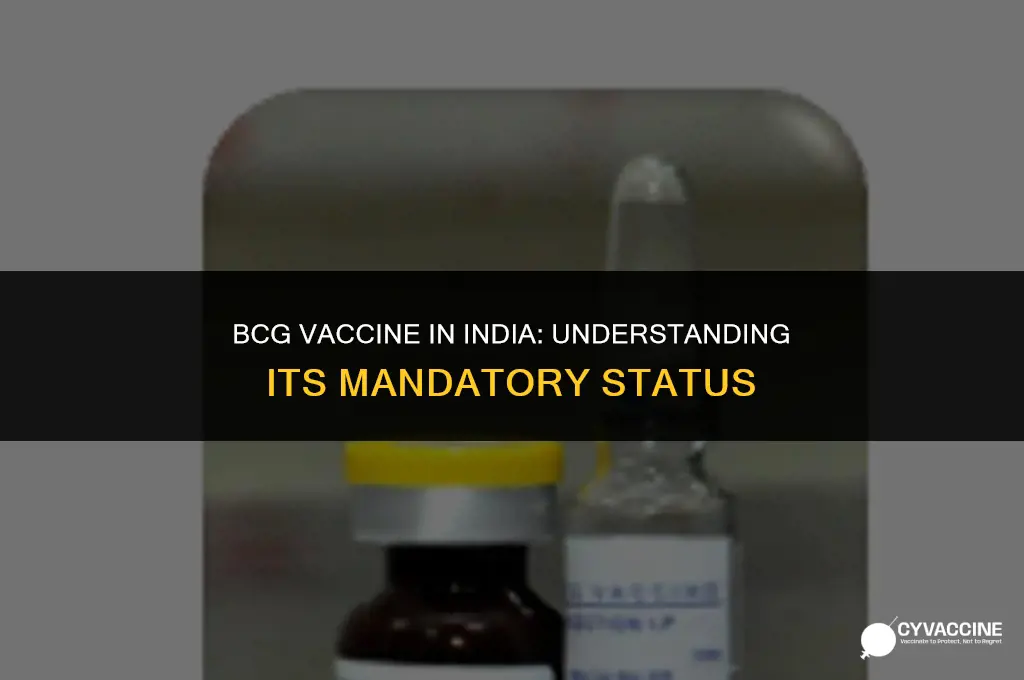 is bcg vaccine mandatory in india