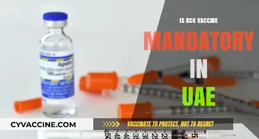 BCG Vaccine in UAE: Understanding Its Importance and Mandates