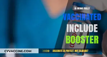 Boosting Immunity: Does Full Vaccination Include Booster Shots?