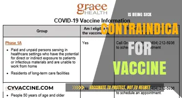 Debunking Myths: Illness and COVID-19 Vaccination Facts