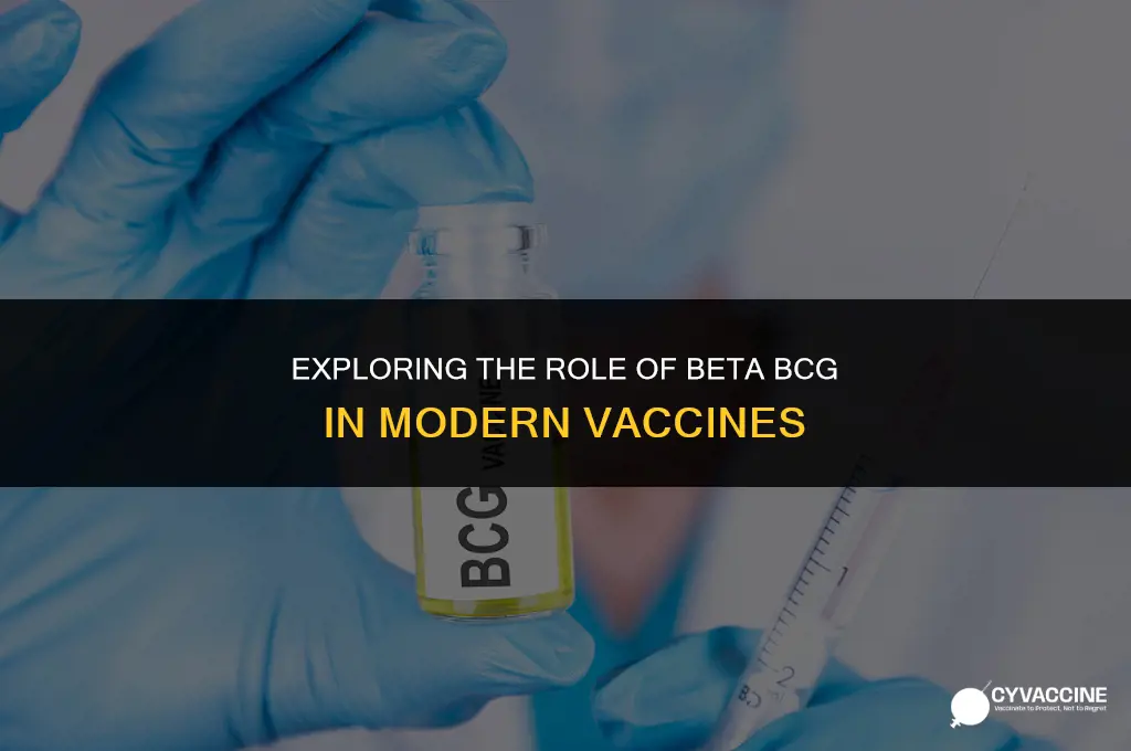 is beta bcg in the vaccine
