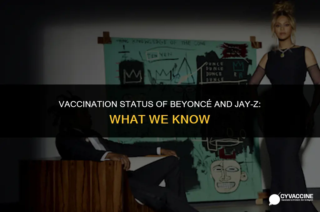 is beyonce and jay z vaccinated