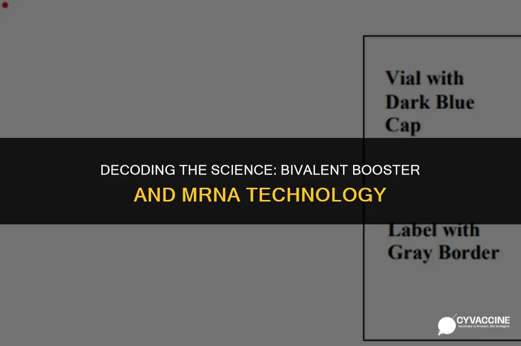 is bivalent booster an mrna vaccine