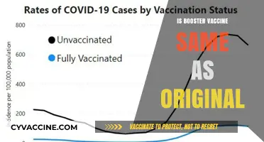 Understanding Booster Shots: Are They the Same as the Original Vaccine?