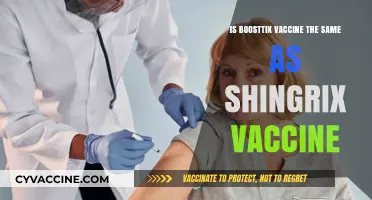 Boosttix vs. Shingrix: Are These Shingles Vaccines Identical?