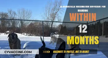 Bordatella Vaccination: Is It Enough for Boarding Within a Year?