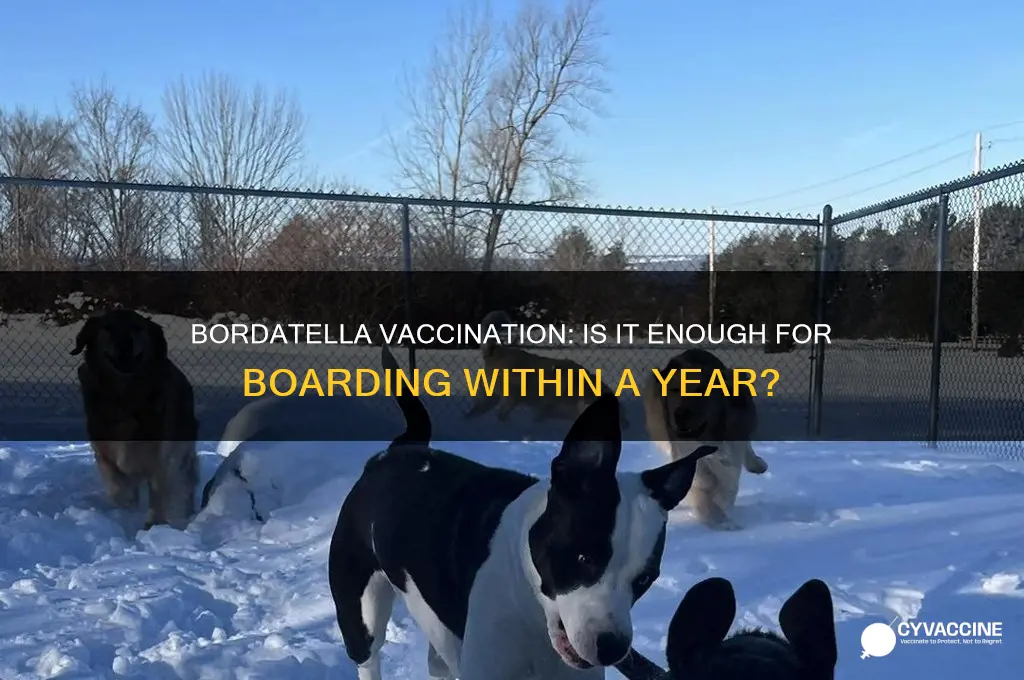 is bordatella vaccination sufficient for boarding within 12 months