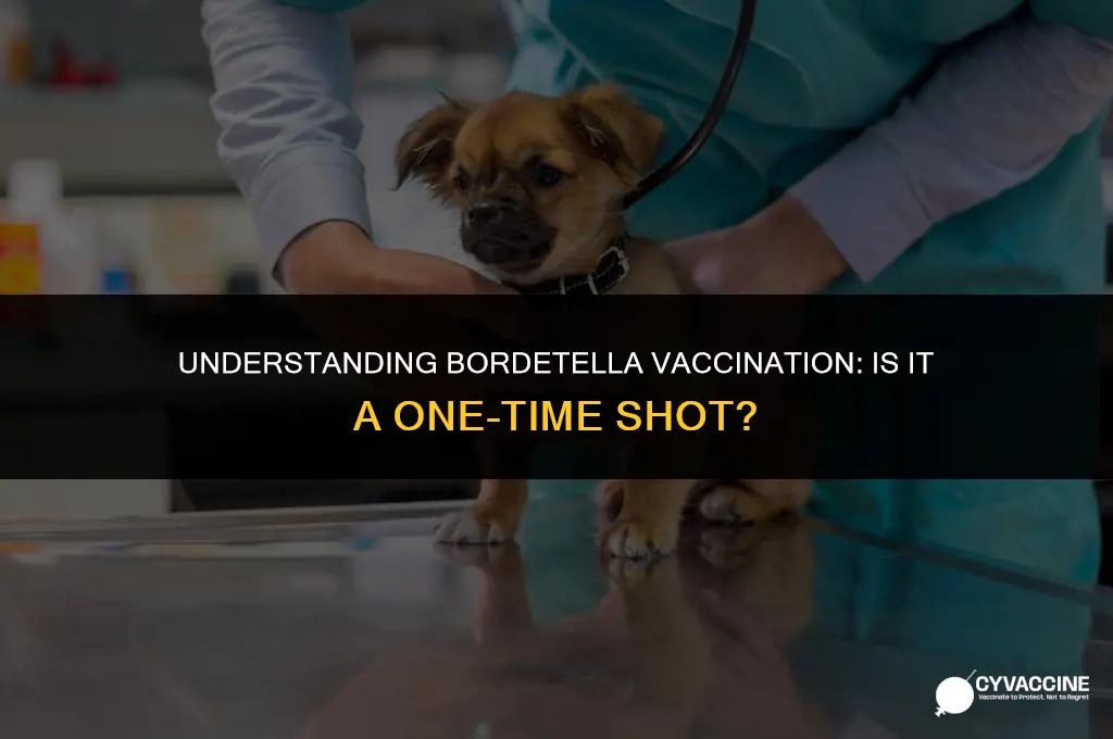 is bordetella a one time vaccine