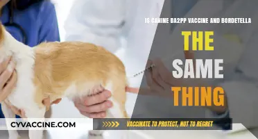 Canine DA2PP vs. Bordetella: Understanding the Difference in Vaccines