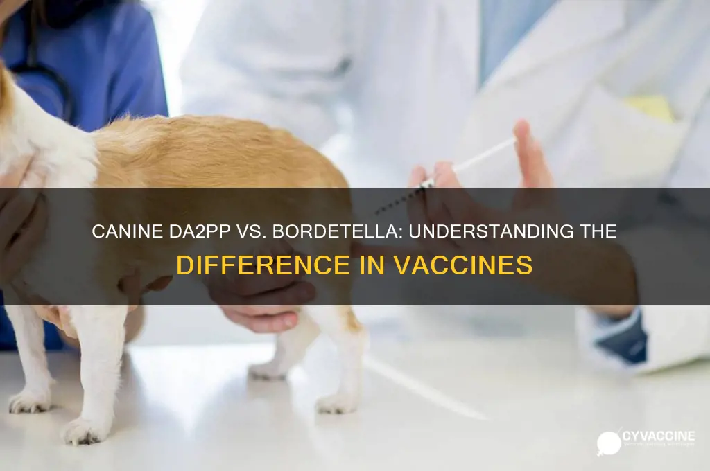 is canine da2pp vaccine and bordetella the same thing
