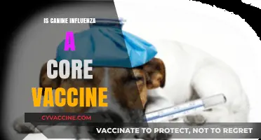 Debunking Myths: Canine Influenza as a Core Vaccine