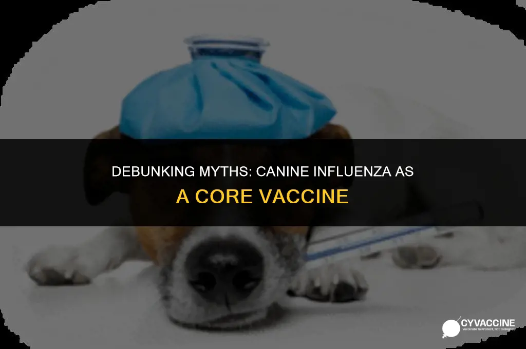 is canine influenza a core vaccine