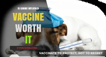 Protecting Your Pup: The Canine Influenza Vaccine Debate