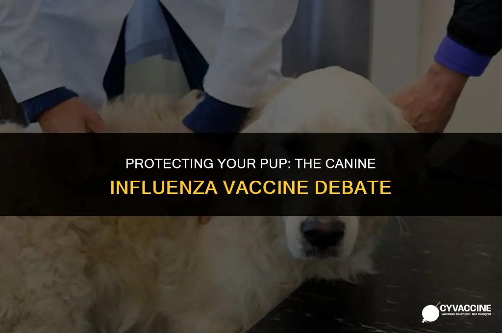 is canine influenza vaccine worth it