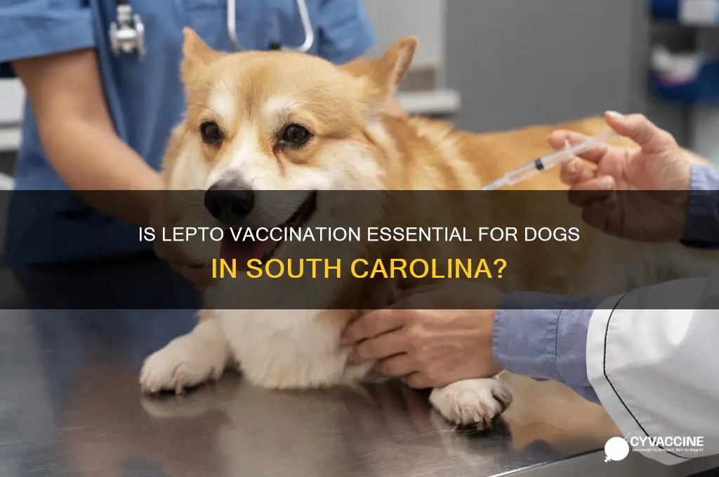 is canine leptospirosis vaccination absolutely necessary in sc