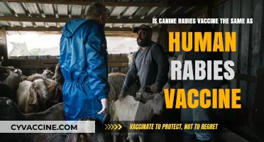 Canine vs. Human Rabies Vaccines: Are They the Same?