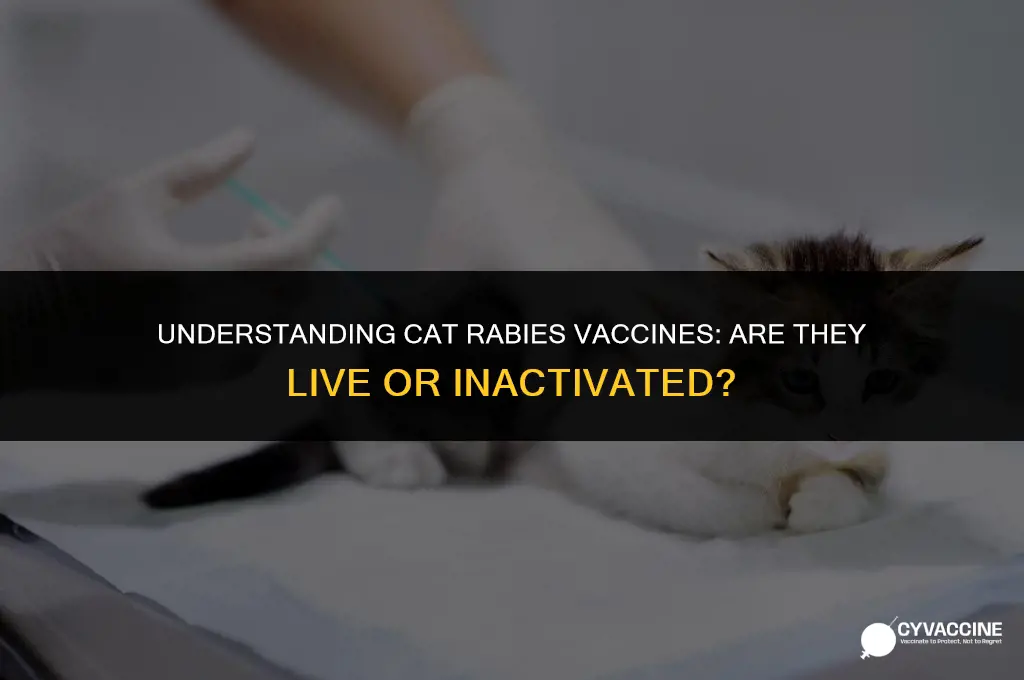 is cat rabies a live vaccine