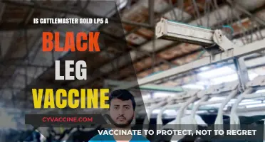 CattleMaster Gold LP5: Effective Black Leg Vaccine for Cattle?