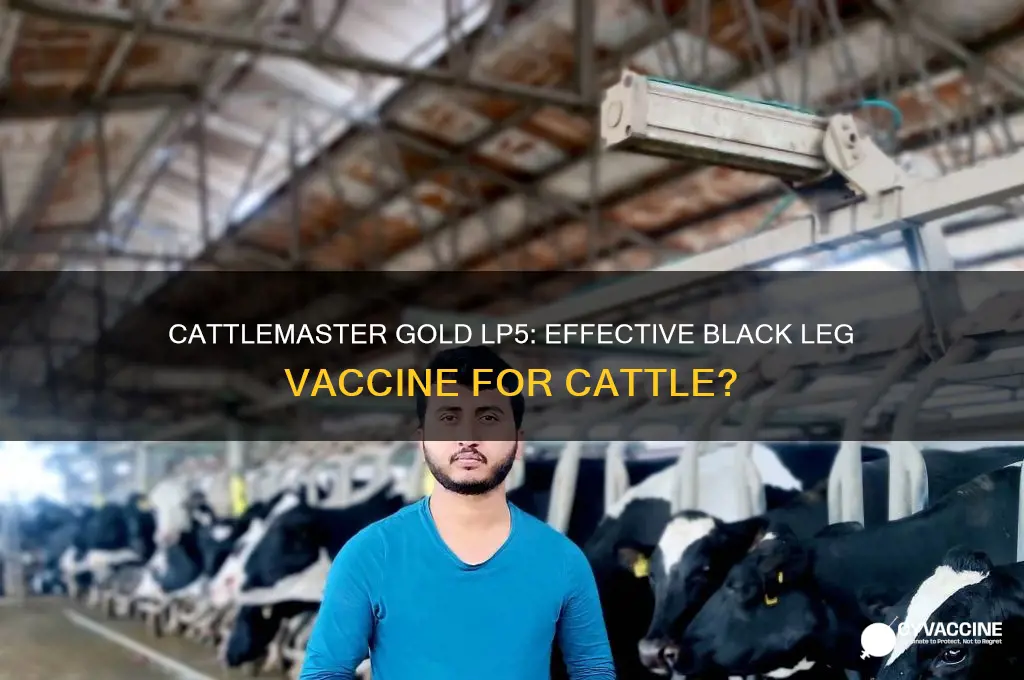 is cattlemaster gold lp5 a black leg vaccine