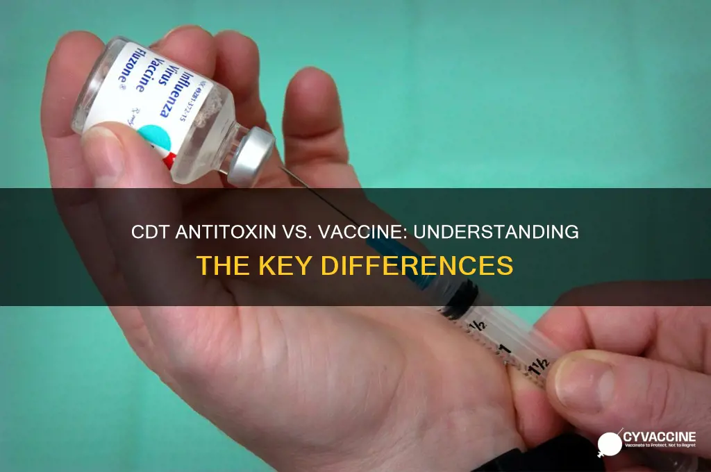 is cdt antitoxin the same as the vaccine