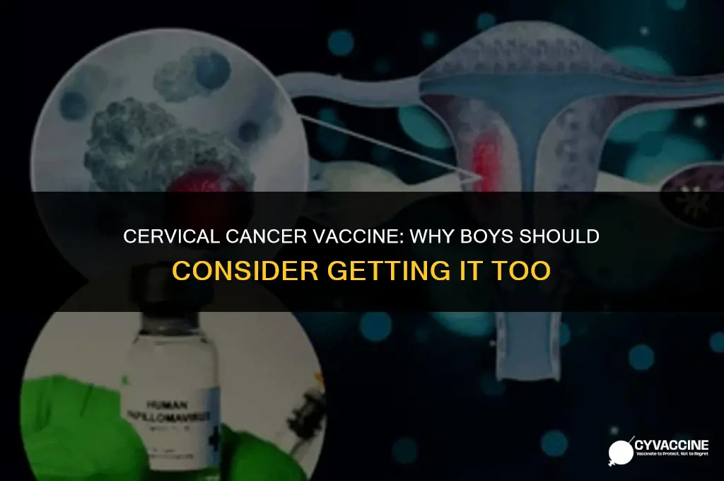 is cervical cancer vaccine for boys