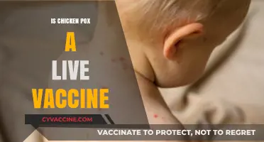 Understanding Chickenpox Vaccination: Separating Myths from Facts