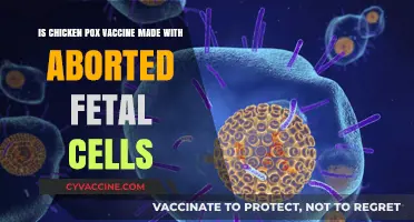 Chickenpox Vaccine and Aborted Fetal Cells: Separating Fact from Fiction