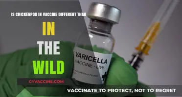Chickenpox Vaccine vs. Wild Virus: Key Differences Explained