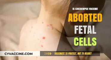 Unraveling the Facts: Chickenpox Vaccine and Aborted Fetal Cells