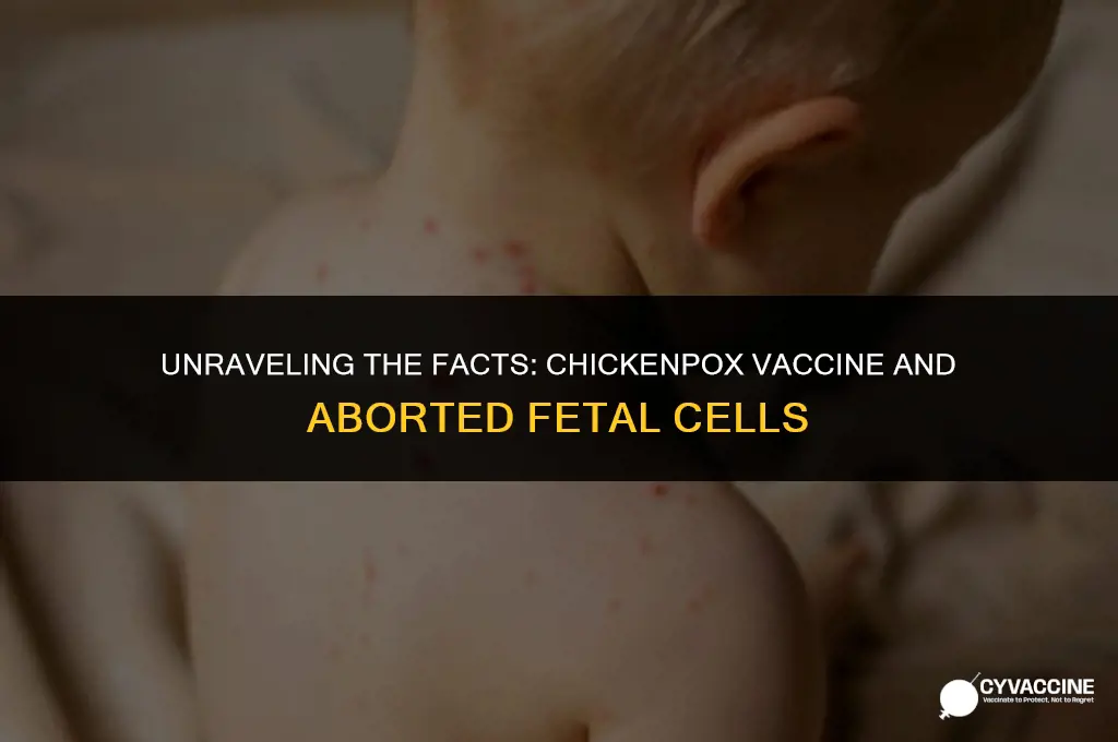 is chickenpox vaccine aborted fetal cells