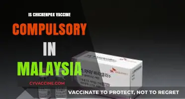 Understanding Chickenpox Vaccine Requirements in Malaysia: A Guide
