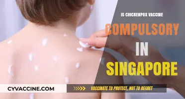 Understanding Chickenpox Vaccine Requirements in Singapore: A Guide