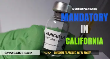 Exploring California's Chickenpox Vaccine Requirements: What You Need to Know