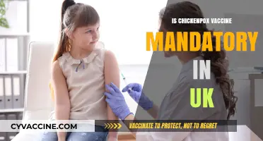 Chickenpox Vaccine Mandate in the UK: What You Need to Know