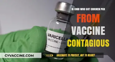 Can Vaccinated Kids Spread Chickenpox? Understanding Vaccine Contagiousness